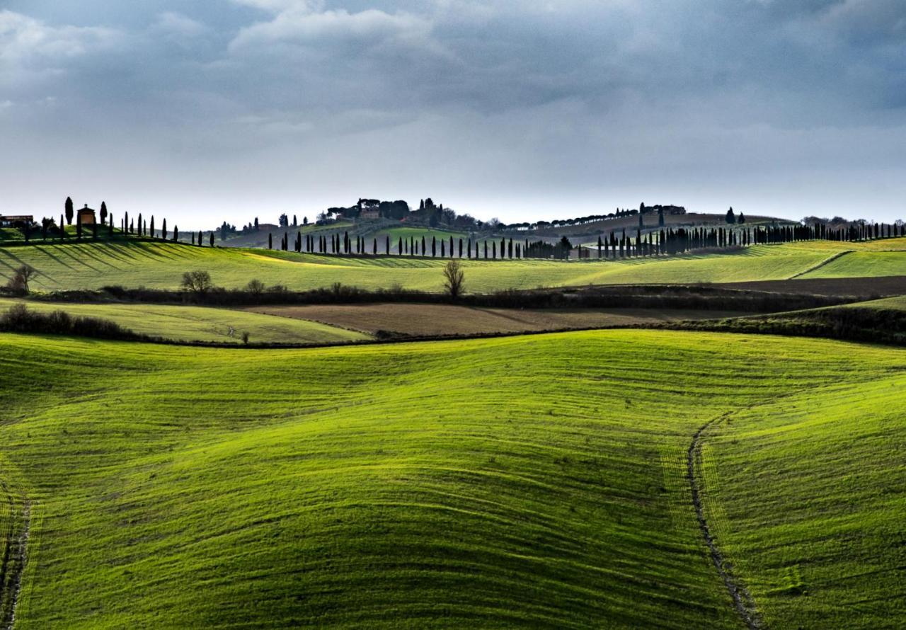 Podere Fossaccio Casa Pino أسكيانو المظهر الخارجي الصورة