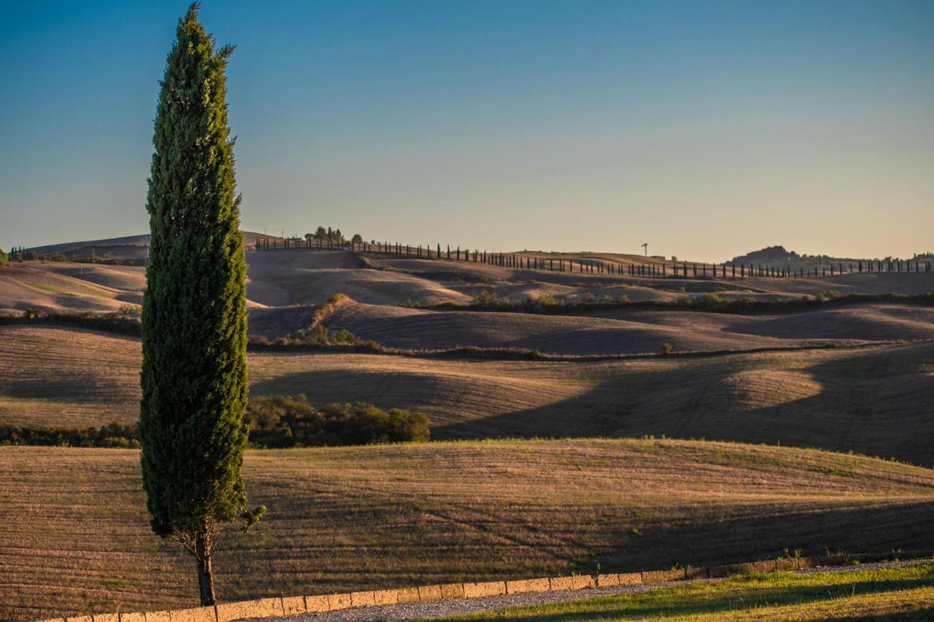 Podere Fossaccio Casa Pino أسكيانو المظهر الخارجي الصورة