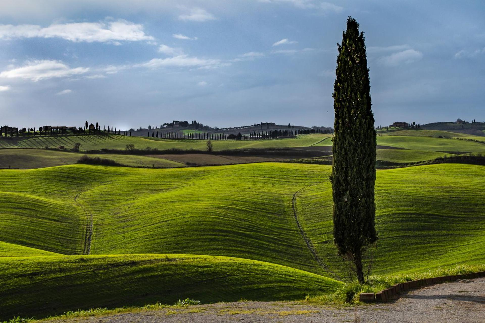 Podere Fossaccio Casa Pino أسكيانو المظهر الخارجي الصورة
